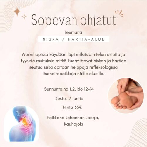 niska/hartia -workshop esite